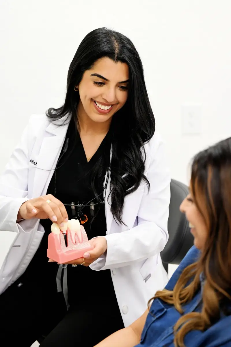 Dental professional demonstrating oral health using a model to a patient in a clinical setting.